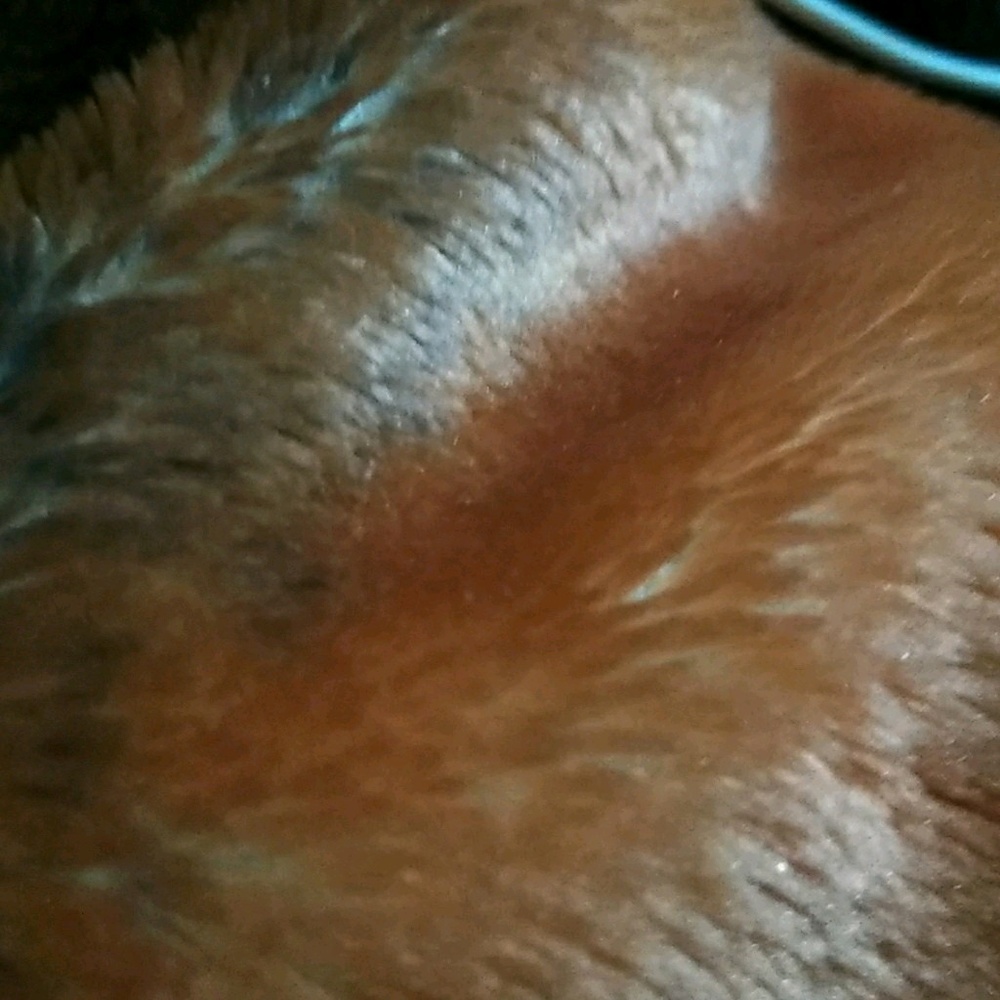 Meet your Posher, Mari